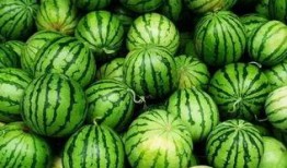 qq网红群吃瓜,一场吃瓜盛宴背后的网络生态