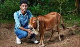 配牛视频在线观看